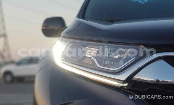 Buy Import Honda C Other Bike in Import - Dubai in Zambia Buy Import Honda C Other Bike in Import - Dubai in Zambia