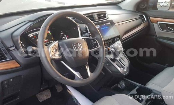 Buy Import Honda C Other Bike in Import - Dubai in Zambia Buy Import Honda C Other Bike in Import - Dubai in Zambia