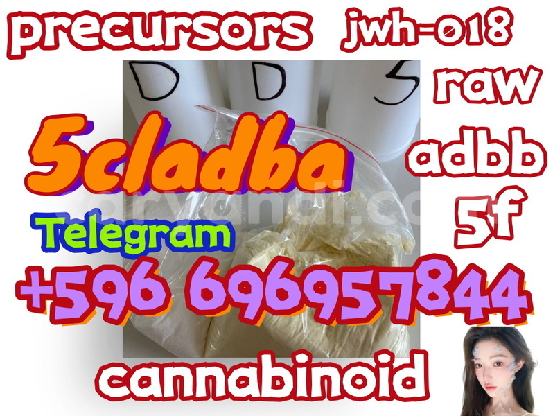 Big with watermark wsw %e7%9c%8b%e5%9b%be%e7%8e%8b