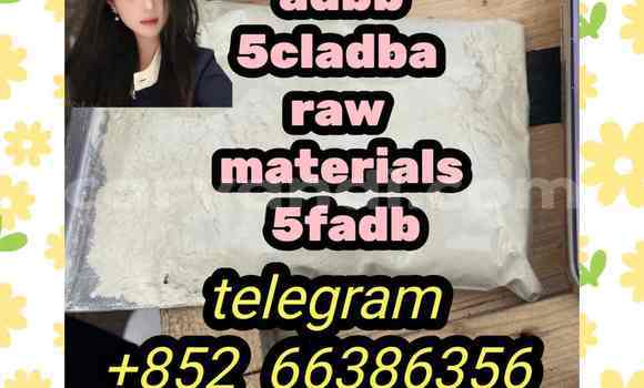 Medium with watermark 2