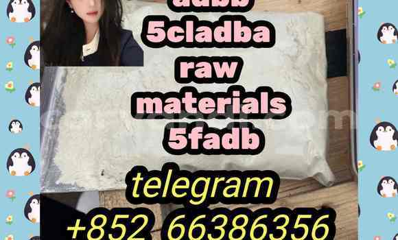 Medium with watermark 3