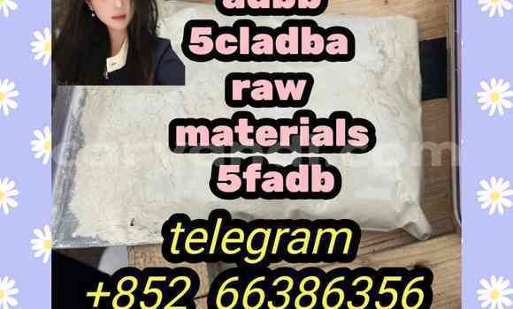 Medium with watermark 7