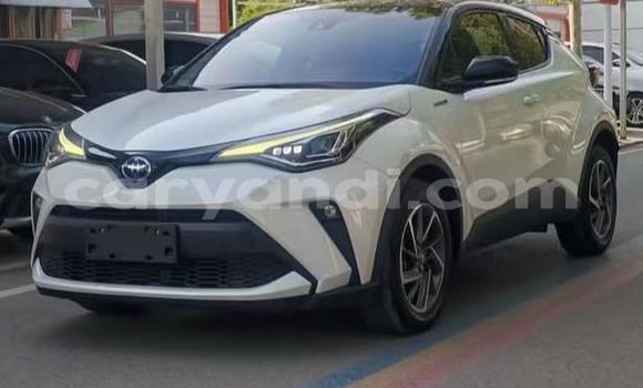 Buy Used Toyota C-HR White Car in Lusaka in Zambia