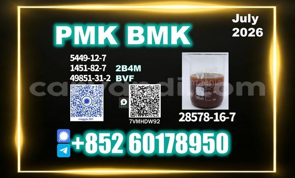 Medium with watermark pmk cas 28578 16 7 trusted logistics