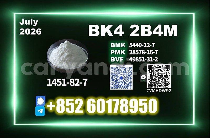 Big with watermark bk4 2b4m cas 1451 82 7 trustworthy supplier