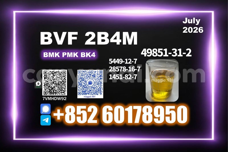 Big with watermark bvf cas 49851 31 2 timely arrival