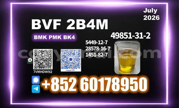 Medium with watermark bvf cas 49851 31 2 timely arrival
