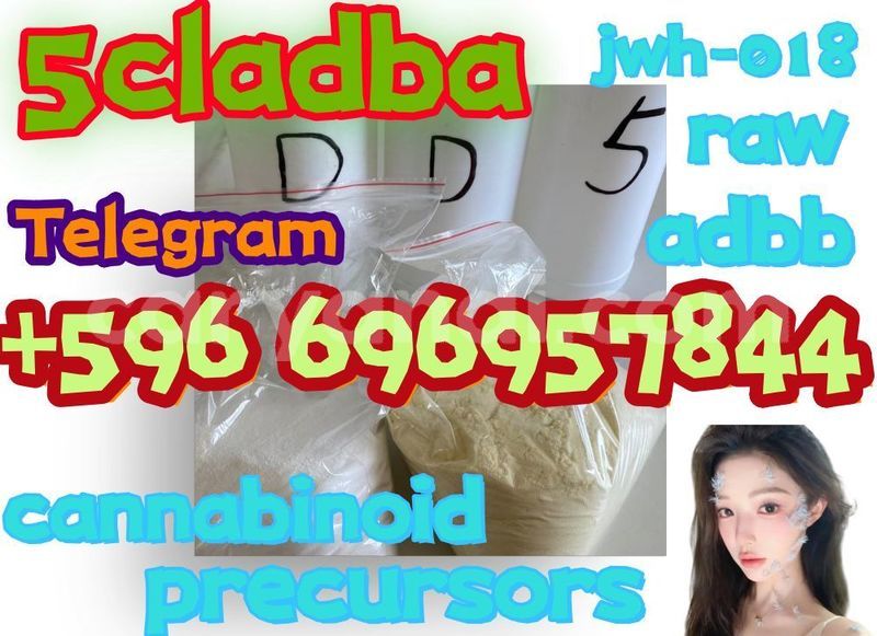 Big with watermark oioi