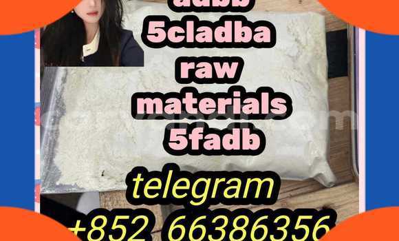 Medium with watermark 1
