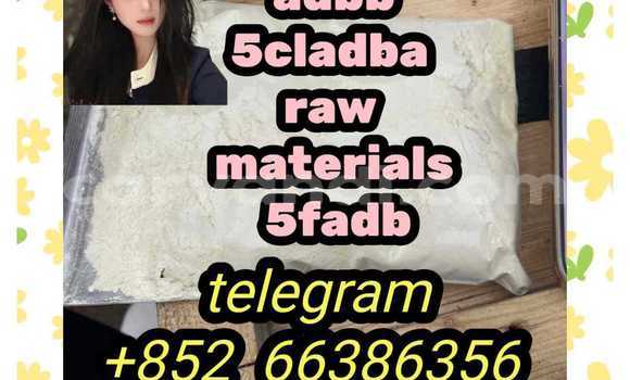Medium with watermark 2