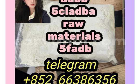 Medium with watermark 4