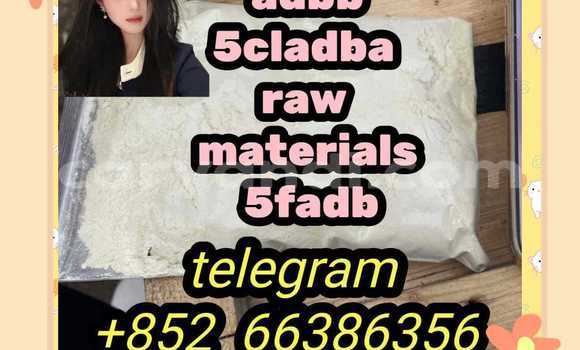 Medium with watermark 6