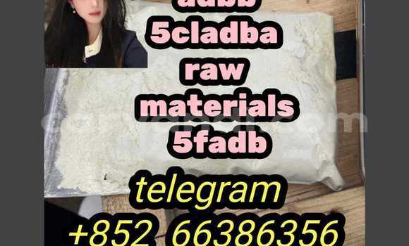 Medium with watermark 7