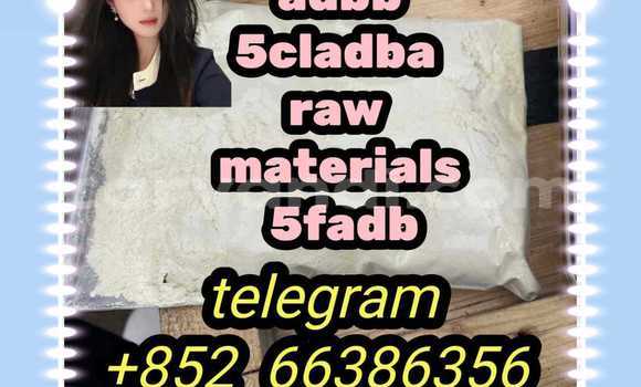 Medium with watermark 8