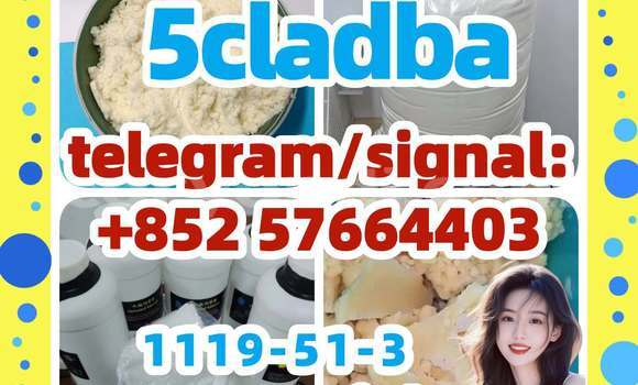 Medium with watermark 51