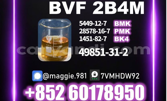Medium with watermark bvf cas 49851 31 2 best price
