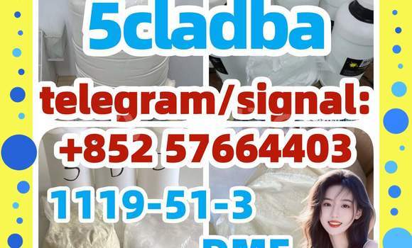 Medium with watermark 54