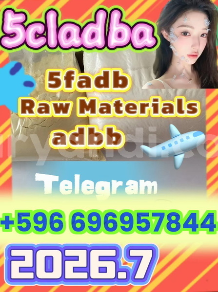 Big with watermark screenshot 2026 07 03 091222 170 %e7%9c%8b%e5%9b%be%e7%8e%8b