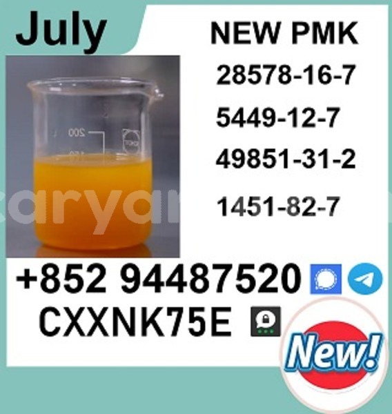 Big with watermark p8