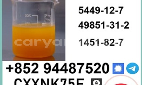 Medium with watermark p8