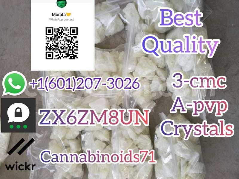 Big with watermark whatsapp image 2023 06 12 at 01.42.10 2 