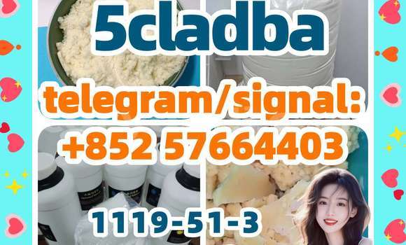Medium with watermark 51
