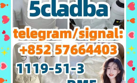 Medium with watermark 53