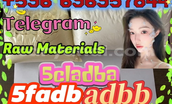 Medium with watermark screenshot 2026 07 03 091428 449 %e7%9c%8b%e5%9b%be%e7%8e%8b