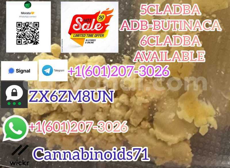 Big with watermark whatsapp image 2023 09 27 at 00.24.40