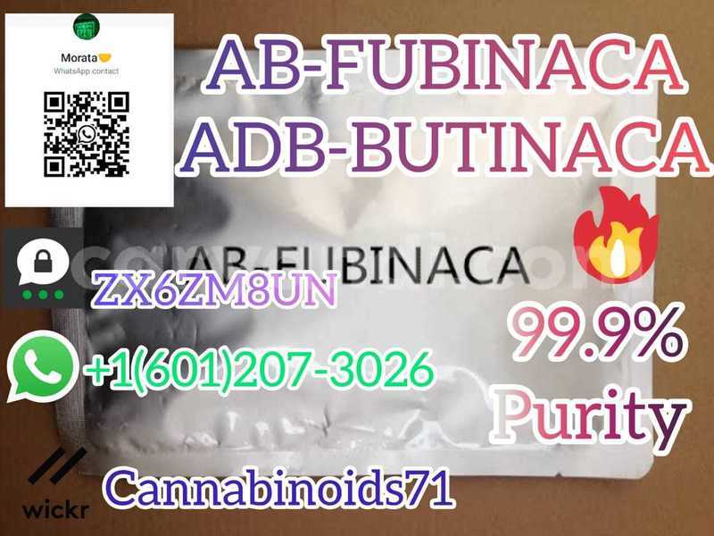 Big with watermark whatsapp image 2023 06 12 at 01.42.11 4 