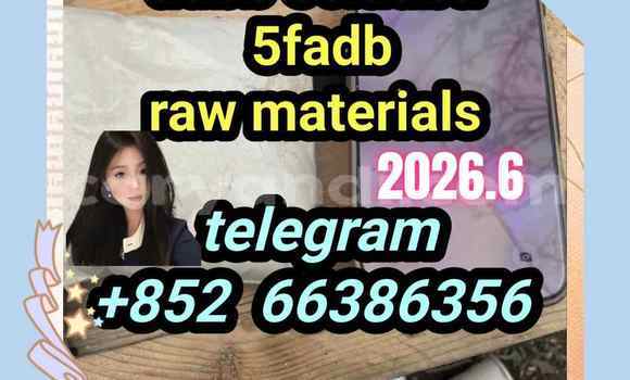 Medium with watermark 10