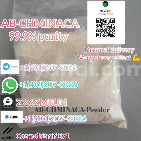 Big with watermark whatsapp image 2023 06 12 at 01.42.12 1 
