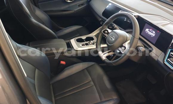 Buy Used GAC Trumpchi GS8 Silver Car in Chilanga in Lusaka Buy Used GAC Trumpchi GS8 Silver Car in Chilanga in Lusaka