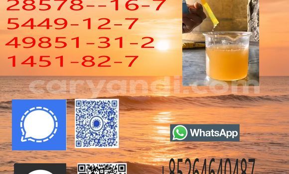 Medium with watermark 723