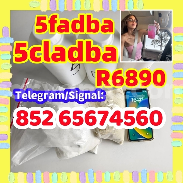 Big with watermark photo 2026 07 01 14 44 56 %e5%89%af%e6%9c%ac