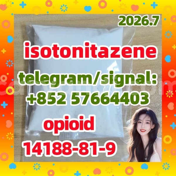 Big with watermark i1