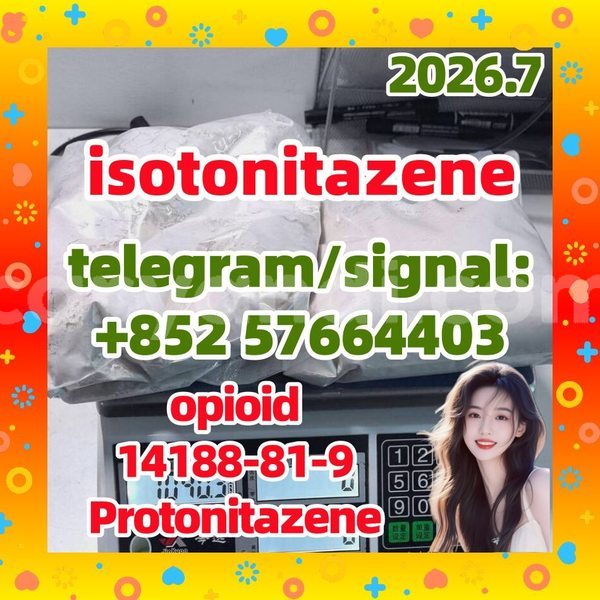 Big with watermark i2