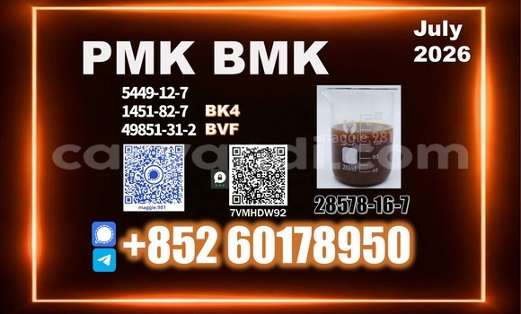 Medium with watermark pmk cas 28578 16 7 synthesis reaction vessel