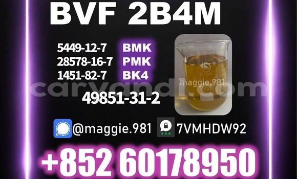 Medium with watermark bvf cas 49851 31 2 stable supply