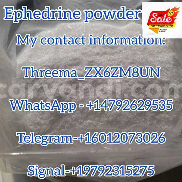 Big with watermark whatsapp image 2026 07 02 at 20.09.56 1 
