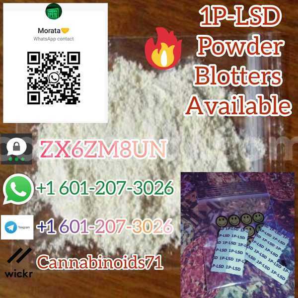 Big with watermark whatsapp image 2023 06 16 at 17.28.11