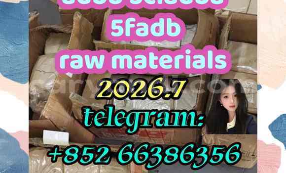 Medium with watermark 2