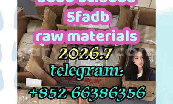 Medium with watermark 4
