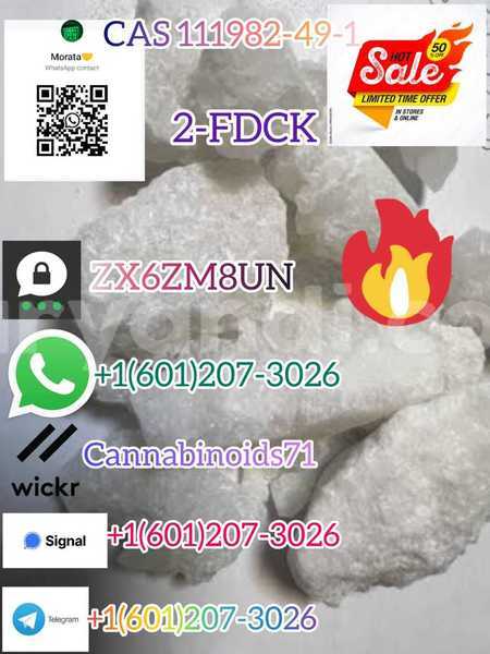 Big with watermark whatsapp image 2023 06 30 at 17.43.33 1 