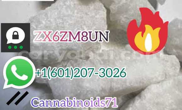 Medium with watermark whatsapp image 2023 06 30 at 17.43.33 1 