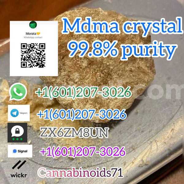 Big with watermark whatsapp image 2023 06 11 at 18.12.52