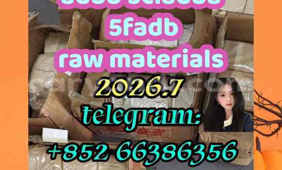 Medium with watermark 5
