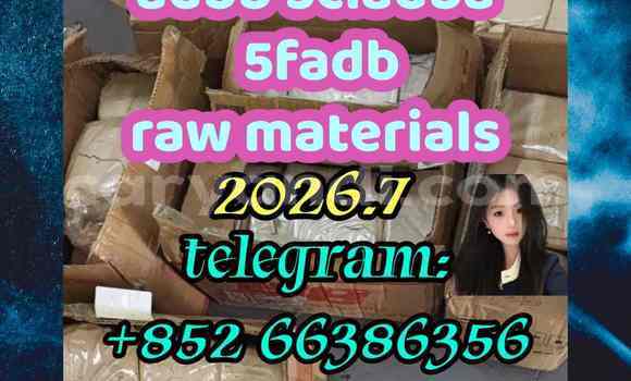 Medium with watermark 6