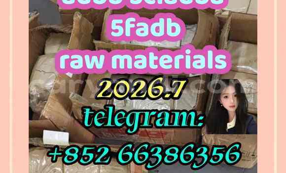 Medium with watermark 7