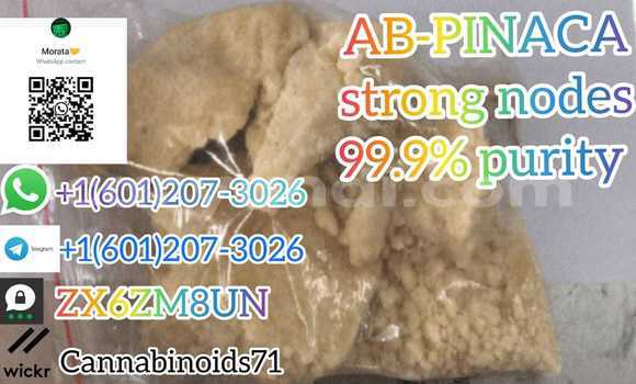 Medium with watermark whatsapp image 2023 06 12 at 01.42.12 3 